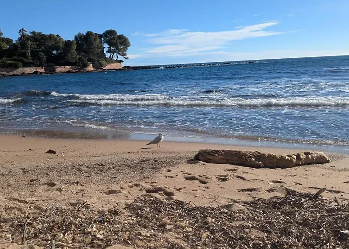 Emeraude Сен-Рафаэль